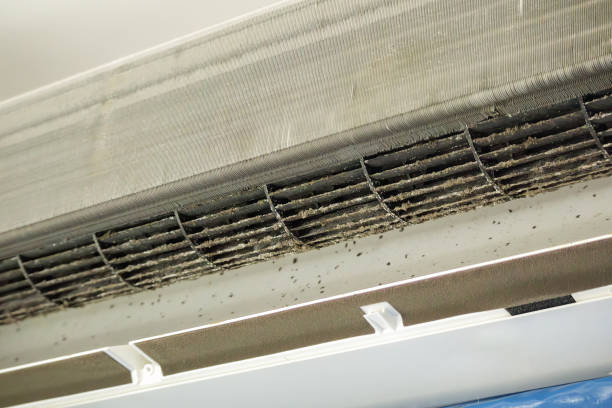 Best Local Air Duct Cleaning Services  in Wrightsville, PA